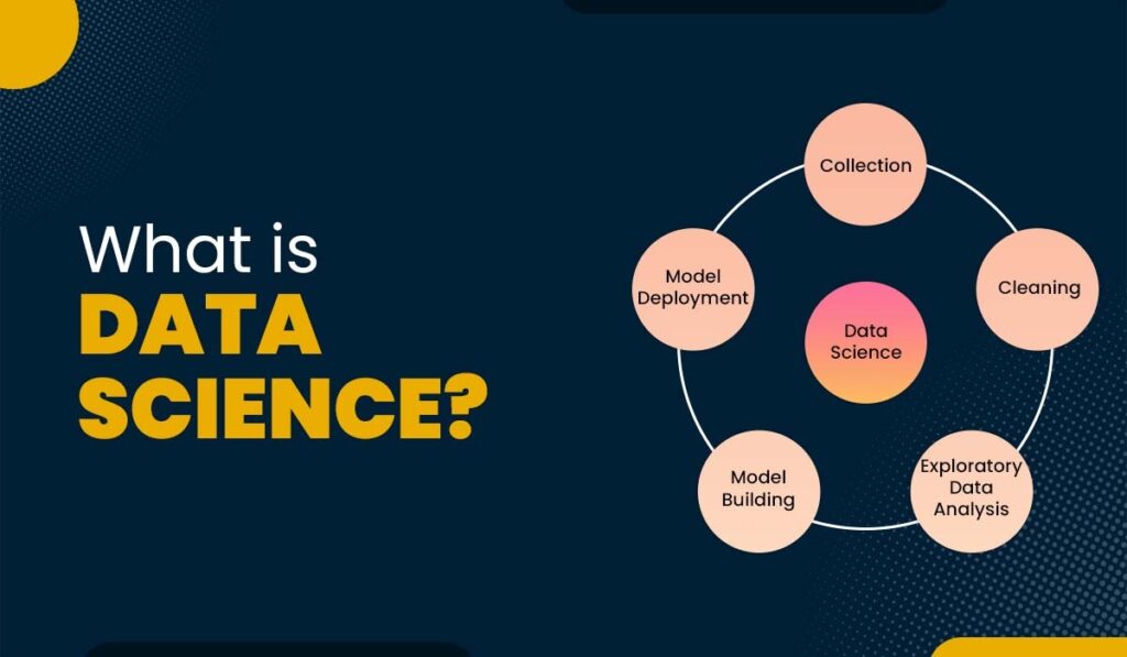 What is data science